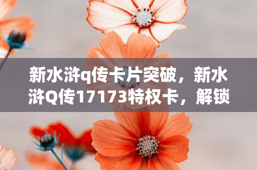 新水浒q传卡片突破，新水浒Q传17173特权卡，解锁专属福利，畅游水浒世界