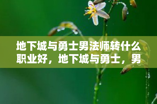 地下城与勇士男法师转什么职业好，地下城与勇士，男法师职业转型全解析
