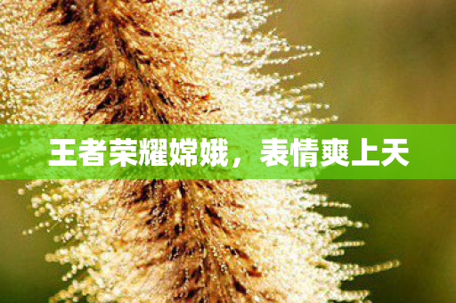 王者荣耀嫦娥,表情爽上天 王者荣耀嫦娥,表情爽上天