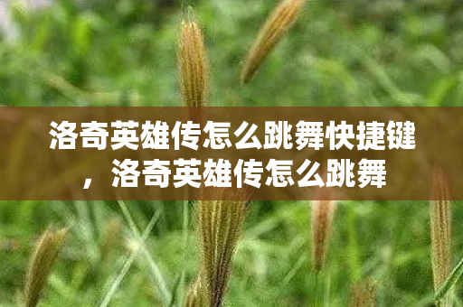 洛奇英雄传怎么跳舞快捷键，洛奇英雄传怎么跳舞