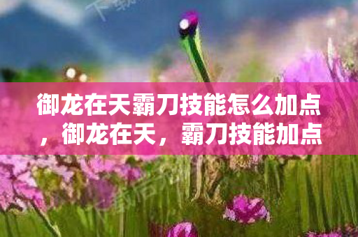 御龙在天霸刀技能怎么加点,御龙在天,霸刀技能加点图详解 御龙在天霸刀技能怎么加点,御龙在天,霸刀技能加点图详解
