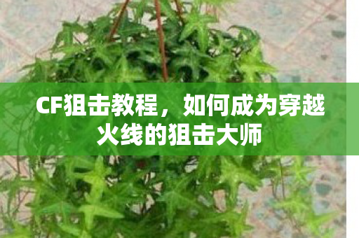 CF狙击教程，如何成为穿越火线的狙击大师