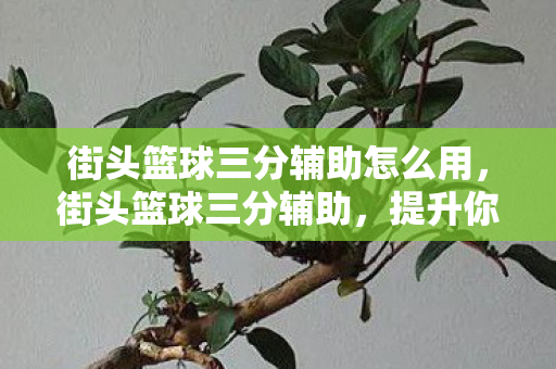 街头篮球三分辅助怎么用，街头篮球三分辅助，提升你的投篮命中率