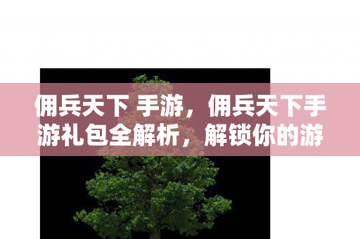 佣兵天下 手游,佣兵天下手游礼包全解析,解锁你的游戏之旅 佣兵天下 手游,佣兵天下手游礼包全解析,解锁你的游戏之旅