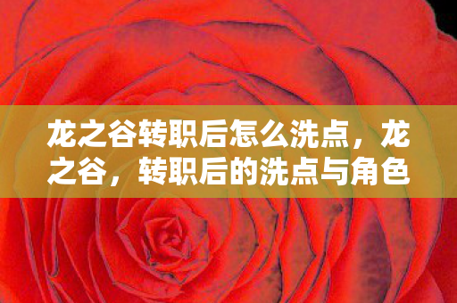 龙之谷转职后怎么洗点,龙之谷,转职后的洗点与角色重塑 龙之谷转职后怎么洗点,龙之谷,转职后的洗点与角色重塑