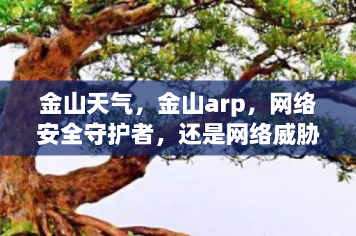 金山天气,金山arp,网络安全守护者,还是网络威胁的帮凶? 金山天气,金山arp,网络安全守护者,还是网络威胁的帮凶?