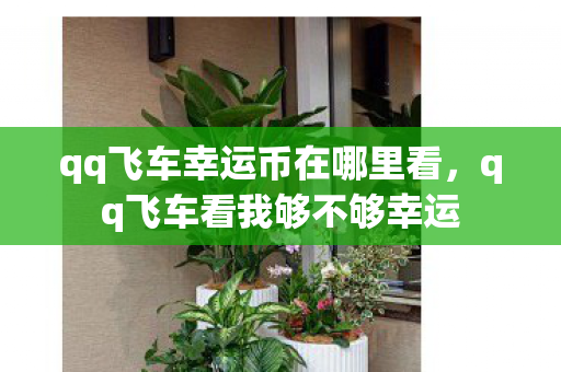 qq飞车幸运币在哪里看，qq飞车看我够不够幸运