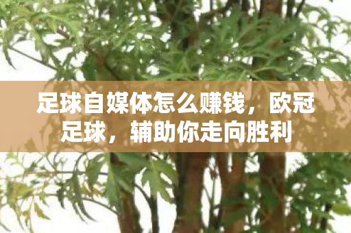足球自媒体怎么赚钱，欧冠足球，辅助你走向胜利