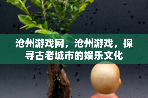 沧州游戏网，沧州游戏，探寻古老城市的娱乐文化