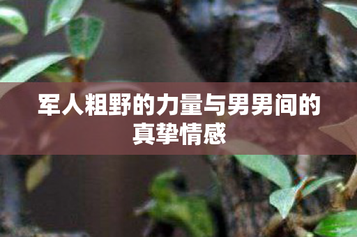 军人粗野的力量与男男间的真挚情感