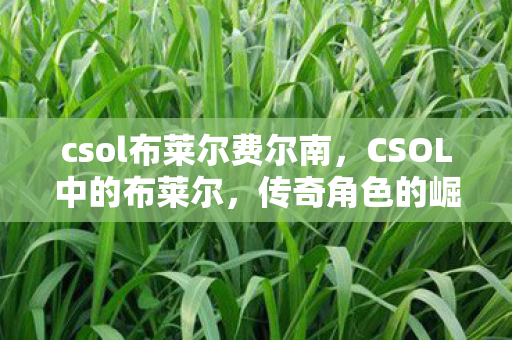 csol布莱尔费尔南,CSOL中的布莱尔,传奇角色的崛起与影响 csol布莱尔费尔南,CSOL中的布莱尔,传奇角色的崛起与影响