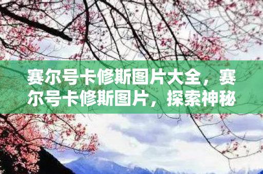 赛尔号卡修斯图片大全,赛尔号卡修斯图片,探索神秘宇宙的勇士形象 赛尔号卡修斯图片大全,赛尔号卡修斯图片,探索神秘宇宙的勇士形象