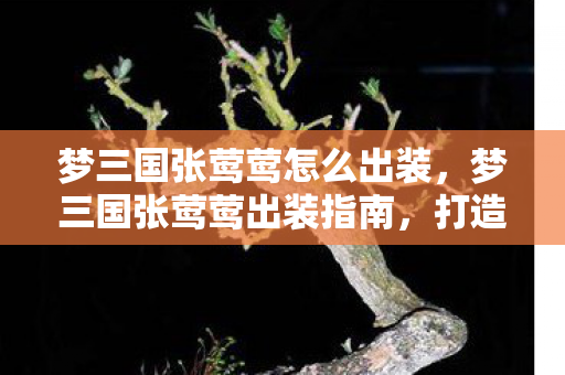 梦三国张莺莺怎么出装,梦三国张莺莺出装指南,打造最强输出英雄 梦三国张莺莺怎么出装,梦三国张莺莺出装指南,打造最强输出英雄