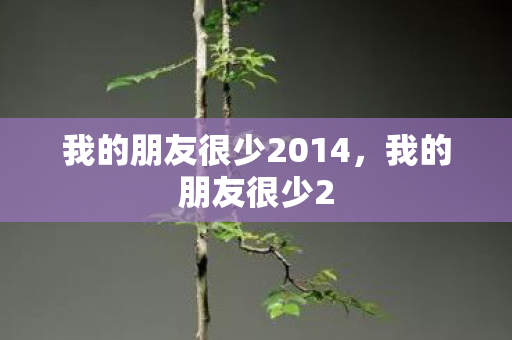 我的朋友很少2014，我的朋友很少2