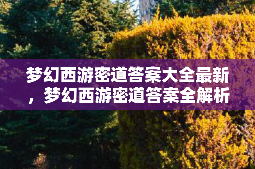 梦幻西游密道答案大全最新,梦幻西游密道答案全解析,解锁神秘世界的钥匙 梦幻西游密道答案大全最新,梦幻西游密道答案全解析,解锁神秘世界的钥匙