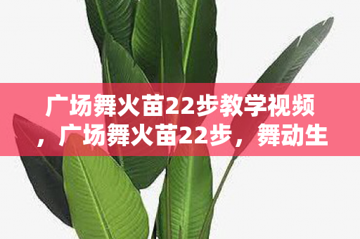 广场舞火苗22步教学视频，广场舞火苗22步，舞动生活的艺术