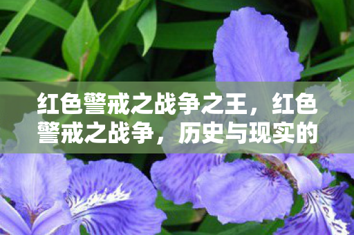 红色警戒之战争之王,红色警戒之战争,历史与现实的交织 红色警戒之战争之王,红色警戒之战争,历史与现实的交织