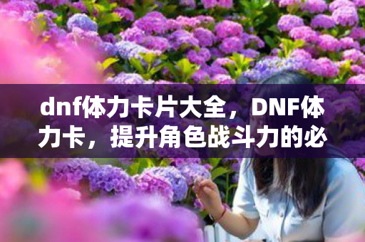 dnf体力卡片大全，DNF体力卡，提升角色战斗力的必备神器