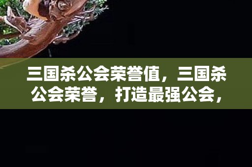 三国杀公会荣誉值,三国杀公会荣誉,打造最强公会,赢得荣耀之战 三国杀公会荣誉值,三国杀公会荣誉,打造最强公会,赢得荣耀之战