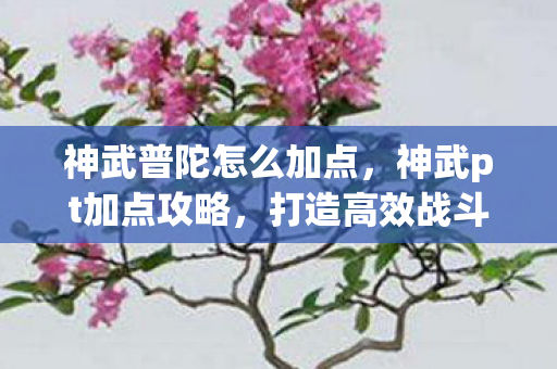 神武普陀怎么加点，神武pt加点攻略，打造高效战斗力的必备指南