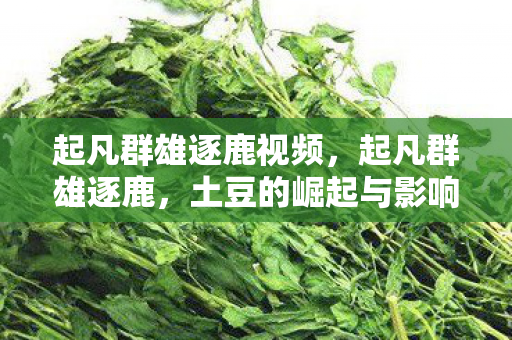 起凡群雄逐鹿视频,起凡群雄逐鹿,土豆的崛起与影响 起凡群雄逐鹿视频,起凡群雄逐鹿,土豆的崛起与影响