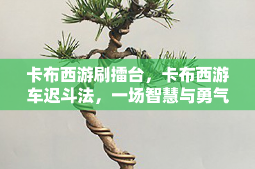 卡布西游刷擂台，卡布西游车迟斗法，一场智慧与勇气的较量