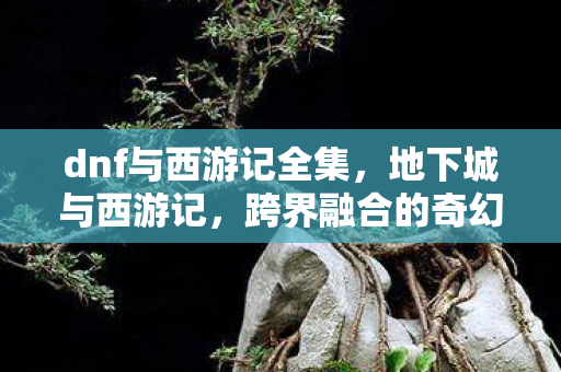 dnf与西游记全集，地下城与西游记，跨界融合的奇幻冒险