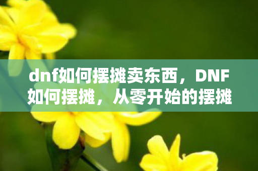 dnf如何摆摊卖东西，DNF如何摆摊，从零开始的摆摊攻略