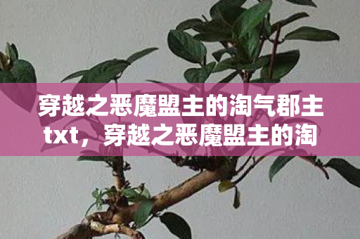 穿越之恶魔盟主的淘气郡主txt，穿越之恶魔盟主的淘气郡主