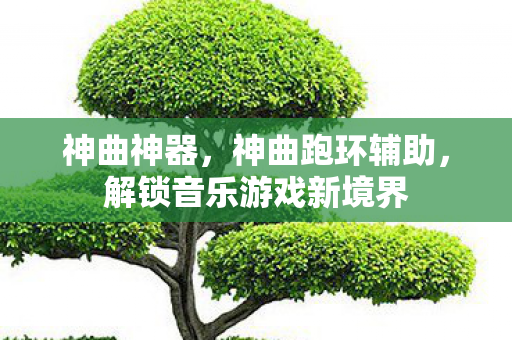 神曲神器，神曲跑环辅助，解锁音乐游戏新境界