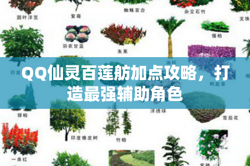 QQ仙灵百莲舫加点攻略,打造最强辅助角色 QQ仙灵百莲舫加点攻略,打造最强辅助角色