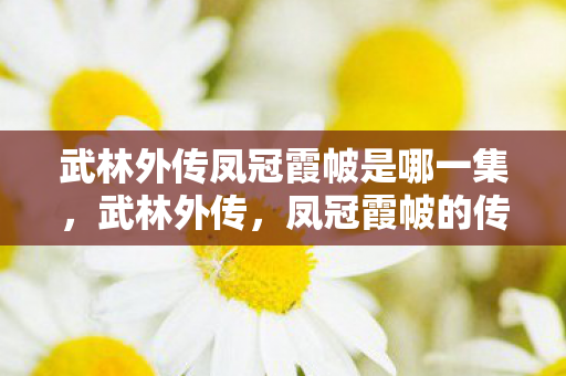 武林外传凤冠霞帔是哪一集，武林外传，凤冠霞帔的传奇故事
