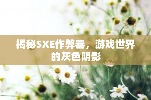 揭秘SXE作弊器,游戏世界的灰色阴影 揭秘SXE作弊器,游戏世界的灰色阴影
