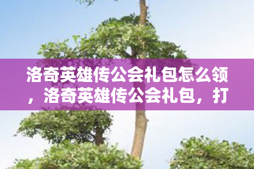 洛奇英雄传公会礼包怎么领,洛奇英雄传公会礼包,打造最强公会,共享荣耀时刻 洛奇英雄传公会礼包怎么领,洛奇英雄传公会礼包,打造最强公会,共享荣耀时刻