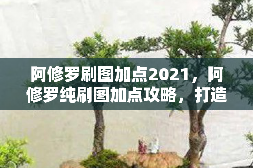 阿修罗刷图加点2021，阿修罗纯刷图加点攻略，打造高效战斗体验