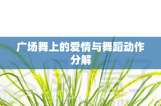 广场舞上的爱情与舞蹈动作分解