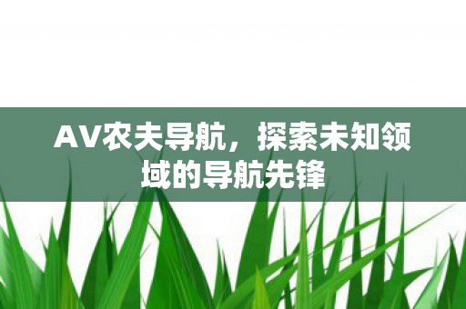 AV农夫导航，探索未知领域的导航先锋