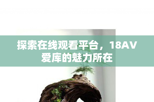探索在线观看平台,18AV爱库的魅力所在 探索在线观看平台,18AV爱库的魅力所在