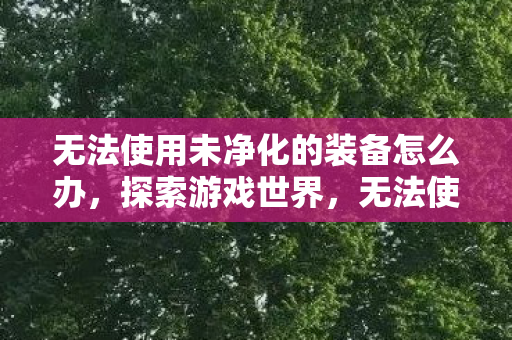 无法使用未净化的装备怎么办,探索游戏世界,无法使用未净化的装备 无法使用未净化的装备怎么办,探索游戏世界,无法使用未净化的装备