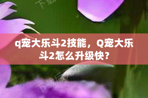 q宠大乐斗2技能,Q宠大乐斗2怎么升级快? q宠大乐斗2技能,Q宠大乐斗2怎么升级快?