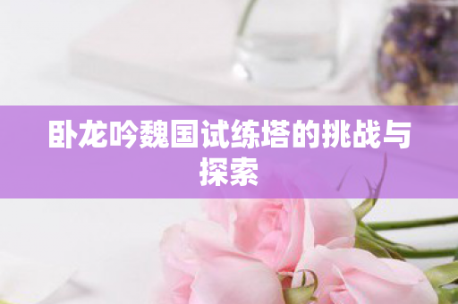 卧龙吟魏国试练塔的挑战与探索