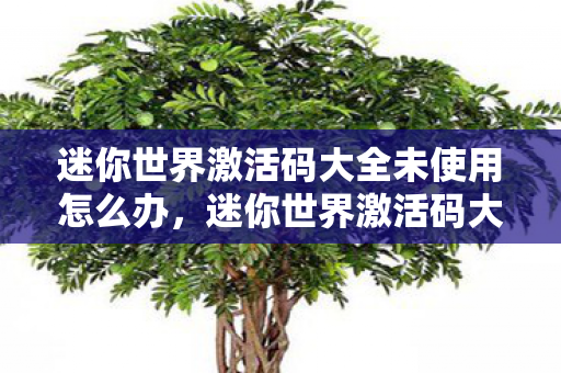 迷你世界激活码大全未使用怎么办，迷你世界激活码大全未使用，解锁无限可能的创意世界