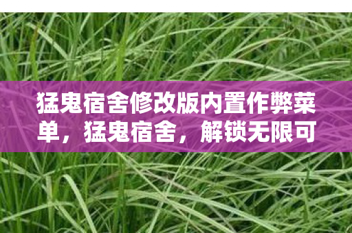 猛鬼宿舍修改版内置作弊菜单,猛鬼宿舍,解锁无限可能的修改版体验 猛鬼宿舍修改版内置作弊菜单,猛鬼宿舍,解锁无限可能的修改版体验