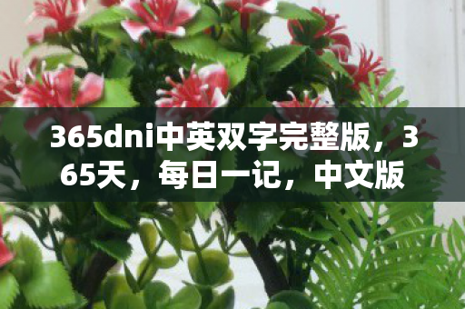 365dni中英双字完整版,365天,每日一记,中文版 365dni中英双字完整版,365天,每日一记,中文版