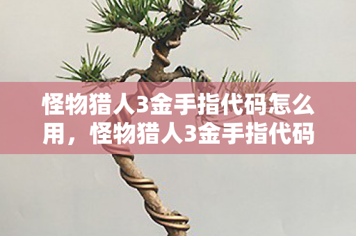 怪物猎人3金手指代码怎么用,怪物猎人3金手指代码,解锁无限可能的游戏体验 怪物猎人3金手指代码怎么用,怪物猎人3金手指代码,解锁无限可能的游戏体验