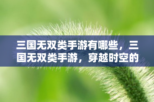 三国无双类手游有哪些,三国无双类手游,穿越时空的战场与英雄梦想 三国无双类手游有哪些,三国无双类手游,穿越时空的战场与英雄梦想