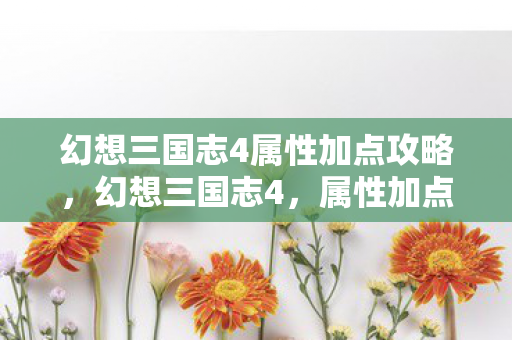 幻想三国志4属性加点攻略,幻想三国志4,属性加点策略详解 幻想三国志4属性加点攻略,幻想三国志4,属性加点策略详解