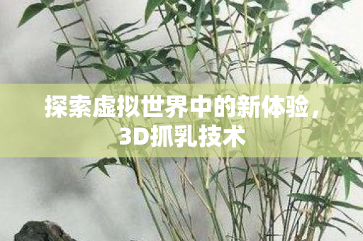 探索虚拟世界中的新体验，3D抓乳技术