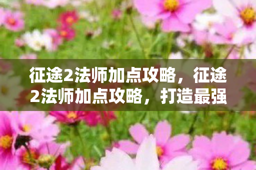 征途2法师加点攻略，征途2法师加点攻略，打造最强法师，征服征途2世界