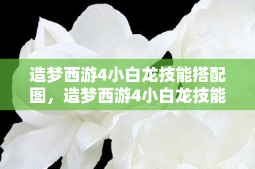 造梦西游4小白龙技能搭配图，造梦西游4小白龙技能搭配攻略